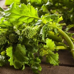 Rapini