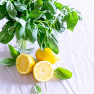 Basilic Citron