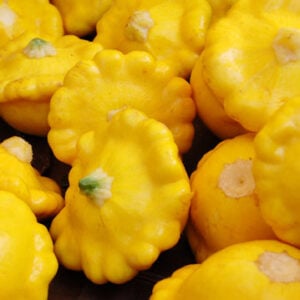 Zucchini Disque Jaune