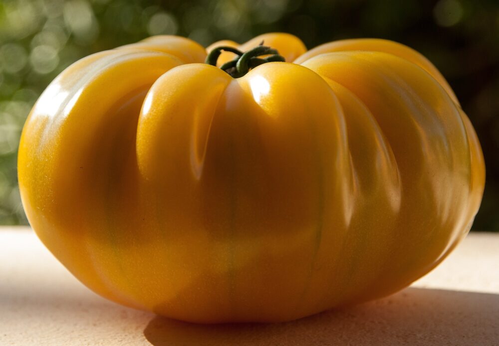 tomato-gccd71d18a_1920