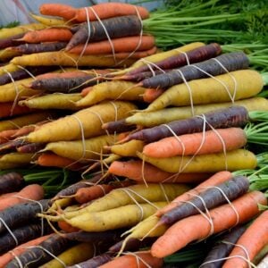 Carotte Mix Arc-en-ciel