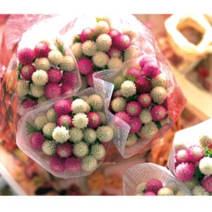 Fleur de thé Mix