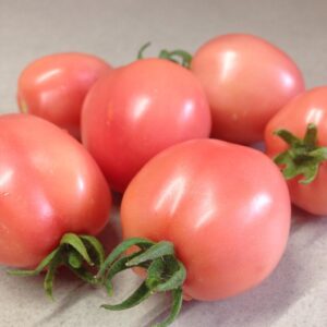 Tomate De Barao Rose