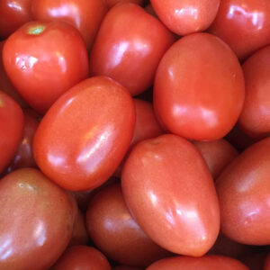 Royal Barao Tomato