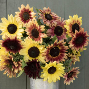Raspberry Lemonade Sunflower Mix