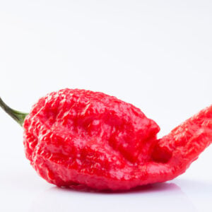 Piment Scorpion Apocalypse
