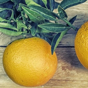 Thym Orange Crush