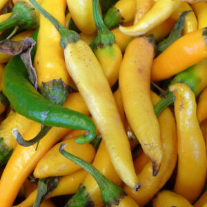 Piment Fino Rojo