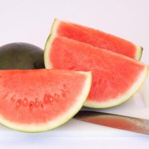 Melon d'eau l'éclat du Nord