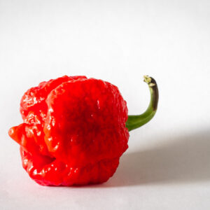 Piment Trinidad Moruga Scorpion