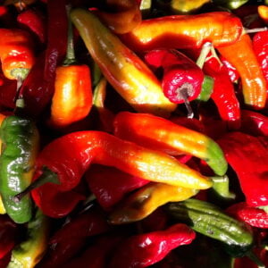 Piment Peperoncini Classic