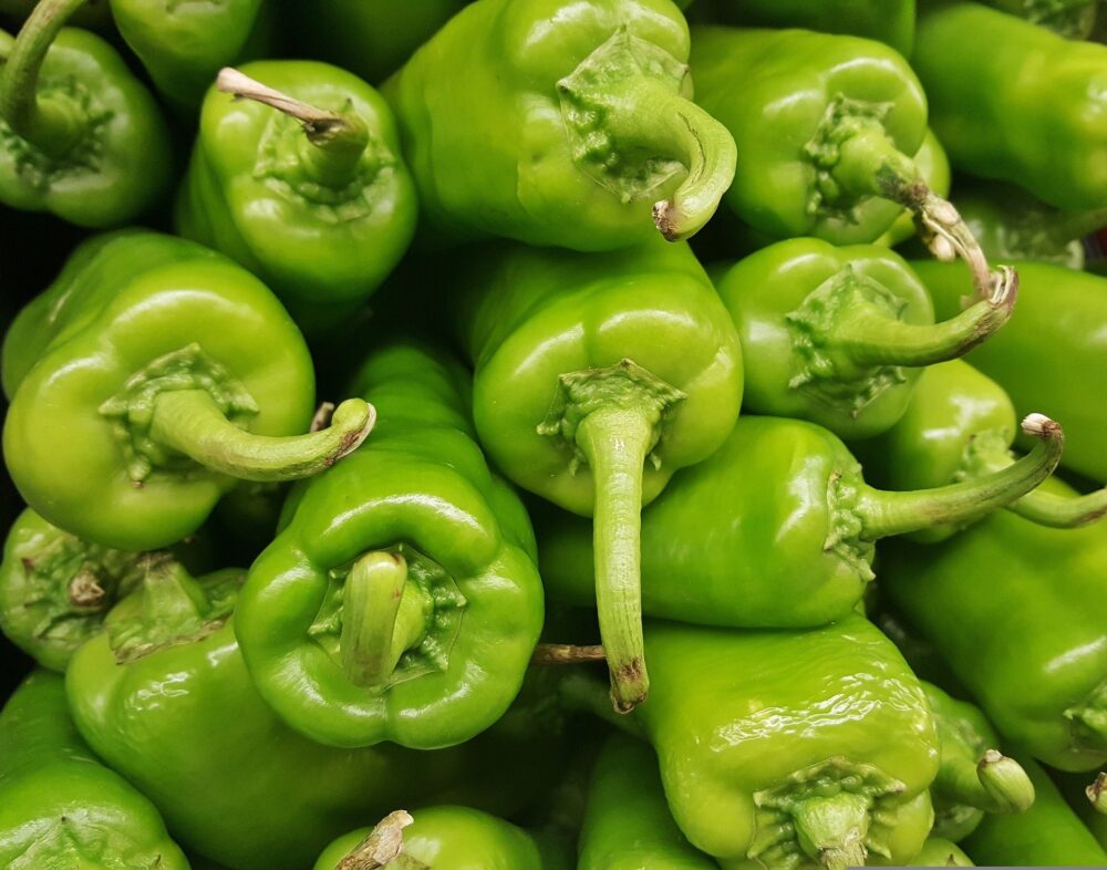 anaheim-peppers-g84ebfcaf3_1920 anaheim-peppers-g84ebfcaf3_1920