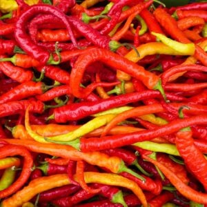 Piment Cayenne XL