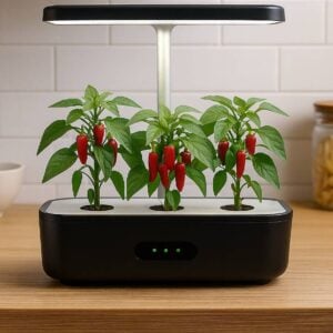 Piment Mini Cayenne