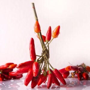 Piment de Arbol