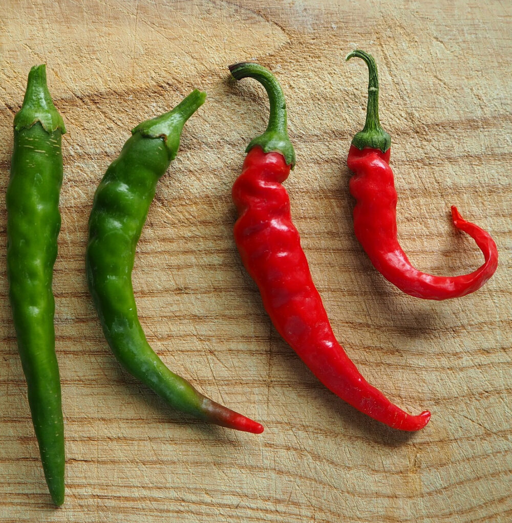 piment matan (1) piment matan (1)