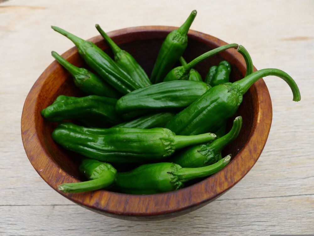 shishito-peppers-g13989a818_1920 shishito-peppers-g13989a818_1920