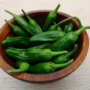 Piment Shishito