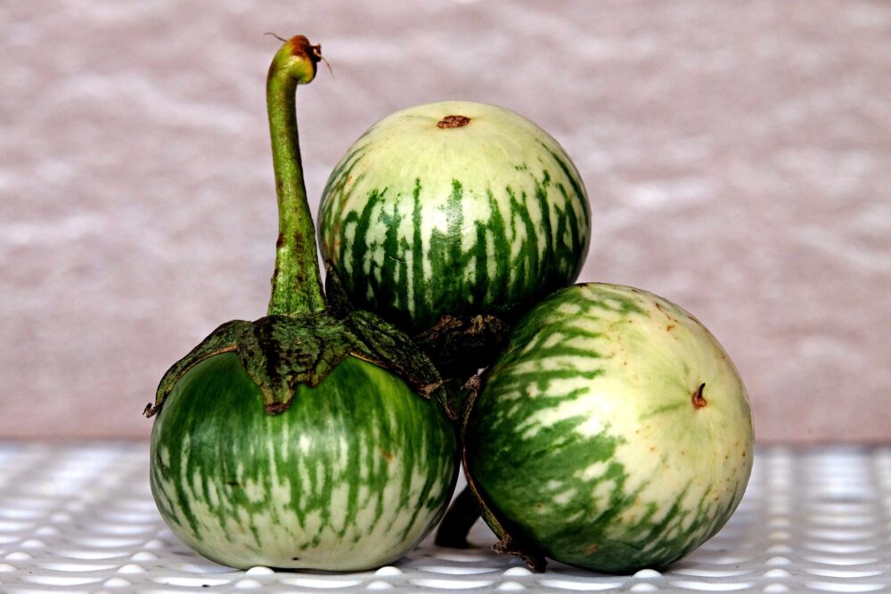AUBERGINE THAI