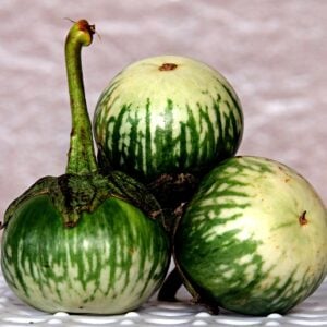 Aubergine Thai