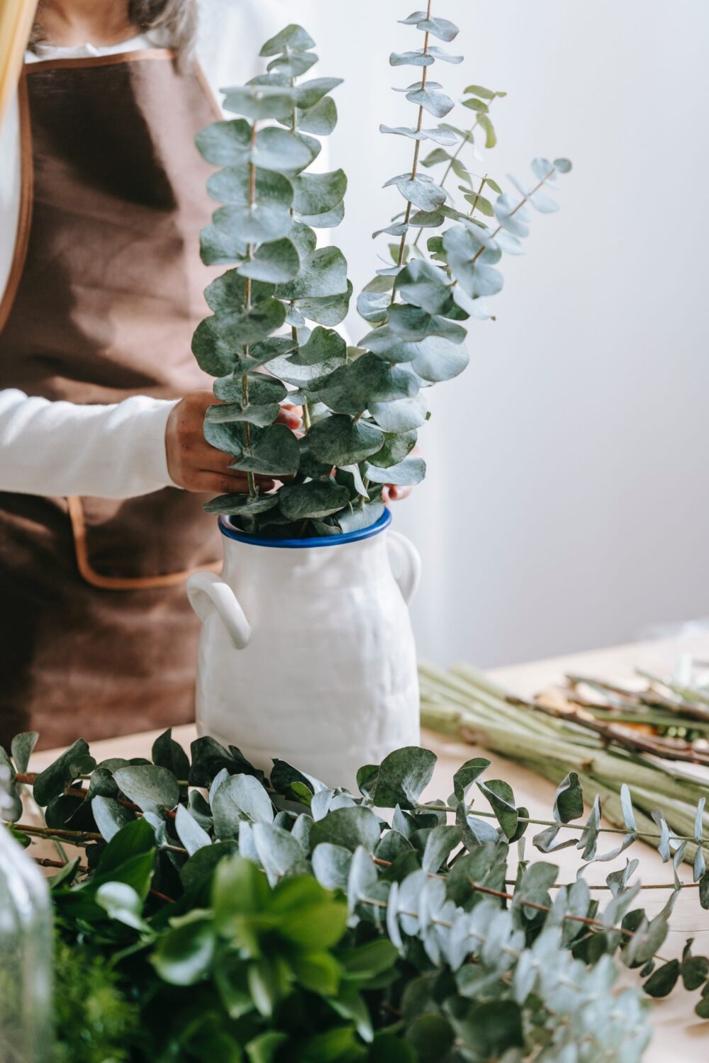 eucalyptus baby blue 2