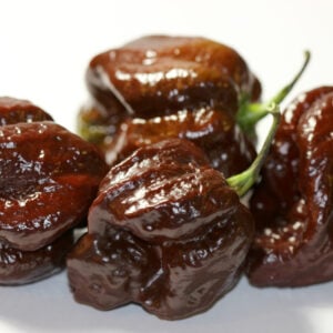 Piment Trinidad Scorpion Chocolat