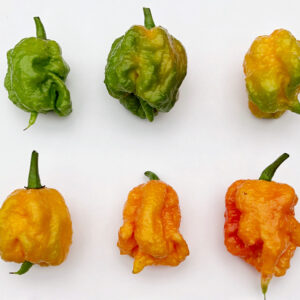 Piment Faucheur de Caroline Pêche