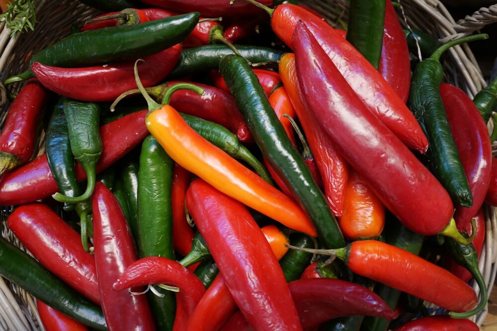 chili nouveau mexique