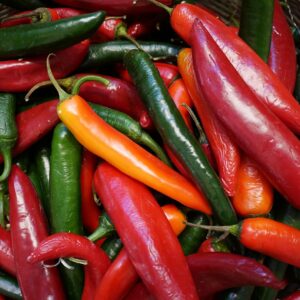 Piment New Mexico