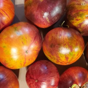 Tomate La Reine des Ténèbres