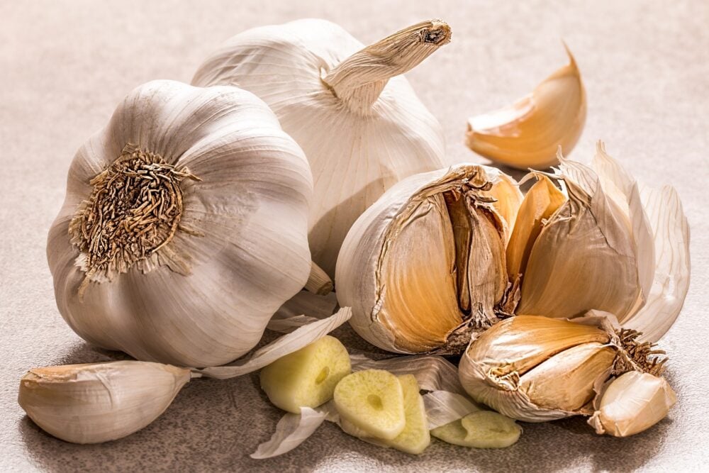 garlic-3419544_1920 garlic-3419544_1920