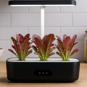 Micro Salade Blade