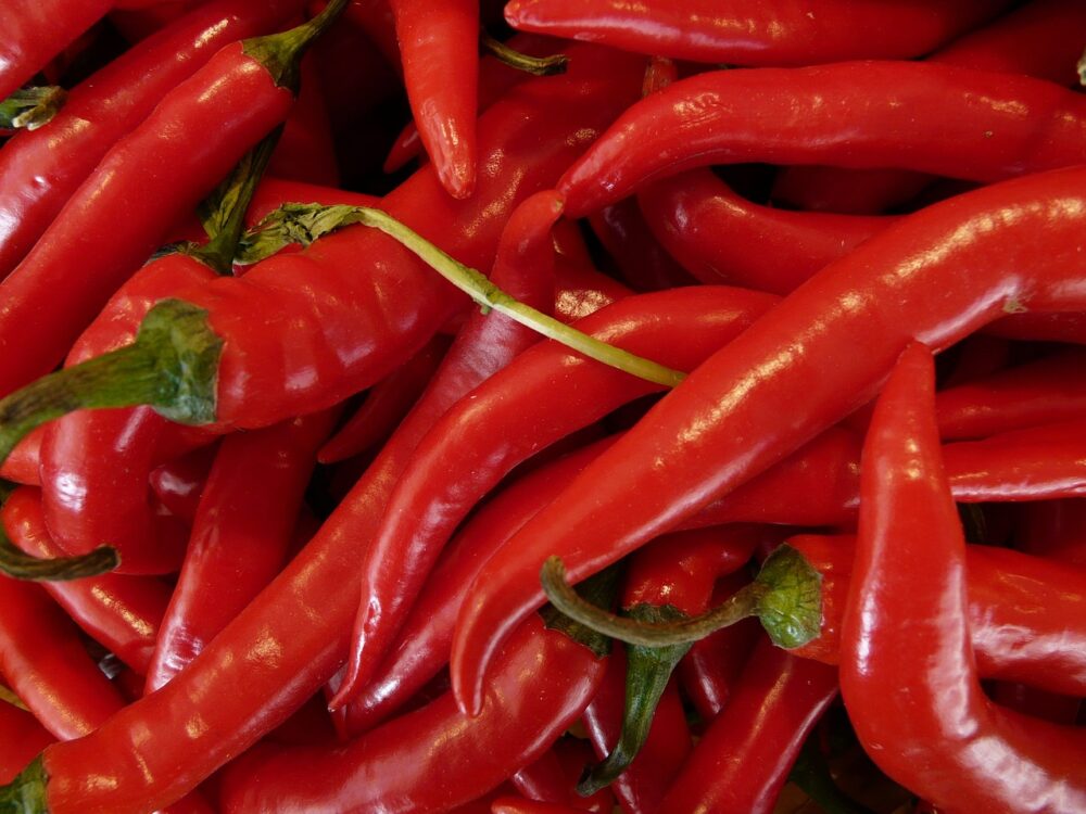 hot-peppers-5757_1280