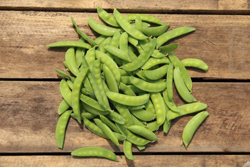 peas-5836078_1920 (1)