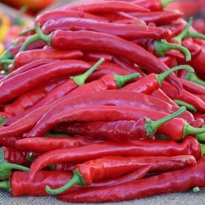 Piment long de Sichuan