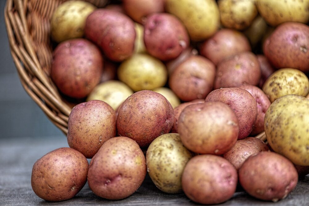 potatoes-4331742_1920