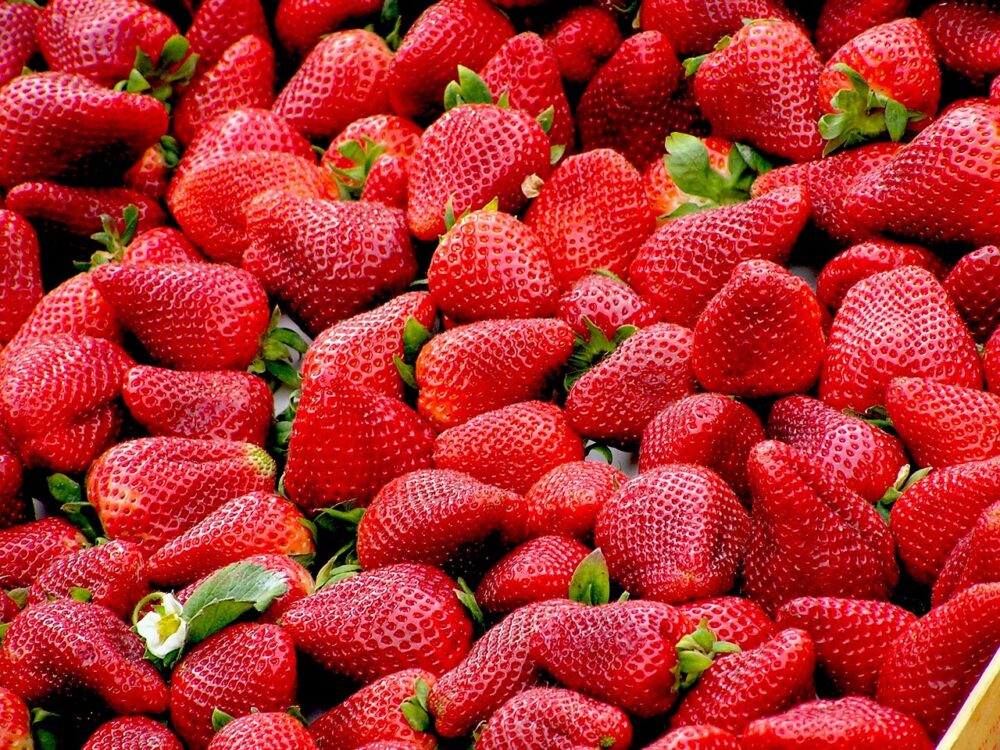 strawberries-99551_1280 strawberries-99551_1280