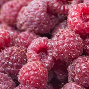 Framboise Bleue