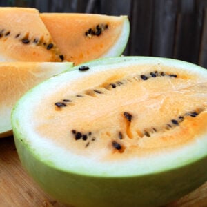 Melon d'eau Roi du Désert