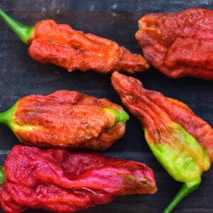 Piment fort Scorpion Léviathan  Caramel noueux