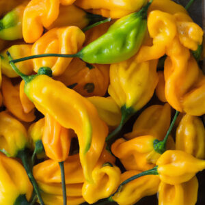 Piment Goronong