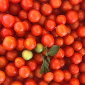Piment Chili sauvage Chiltepin