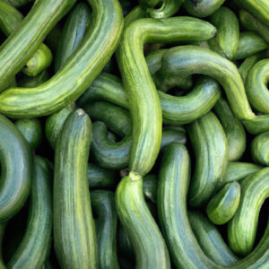 Concombre Metki Serpent Vert foncé