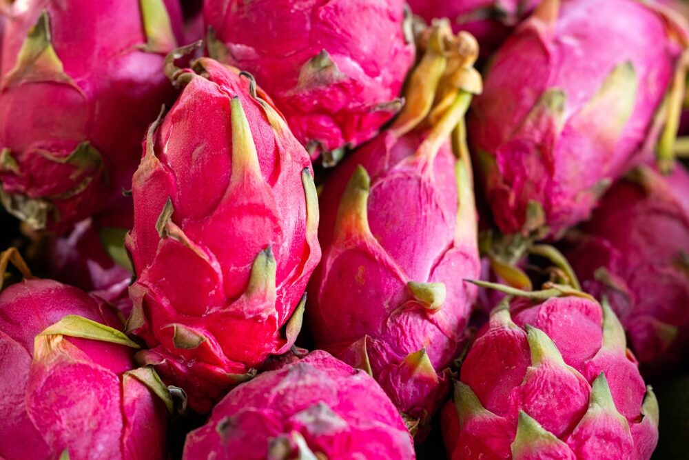 dragon-fruits-6757664_1280 dragon-fruits-6757664_1280