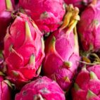 dragon-fruits-6757664_1280