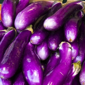 Aubergine Ping Tung Long
