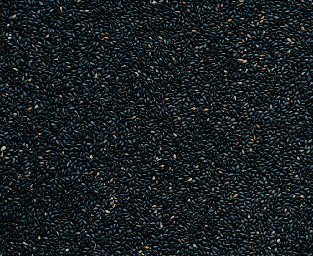 sesame noir sesame noir