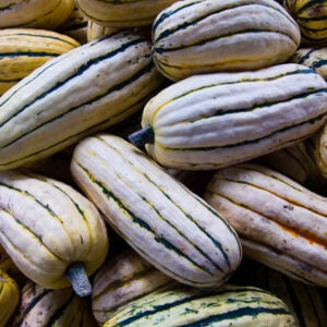 Courge Delicata