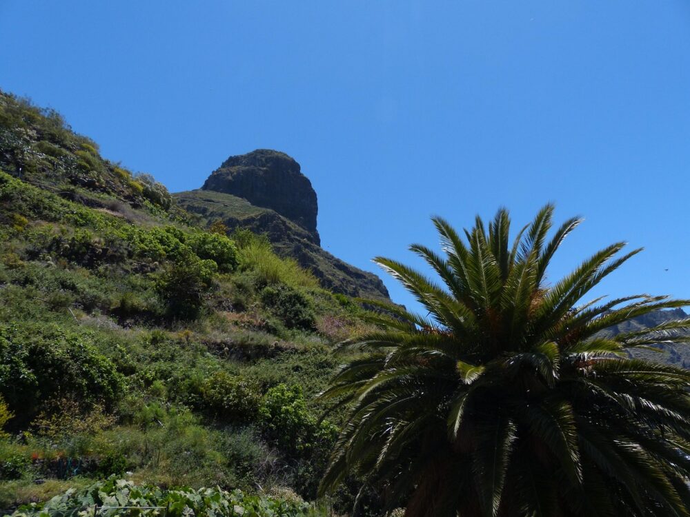 teno-mountains-384408_1280