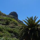 teno-mountains-384408_1280